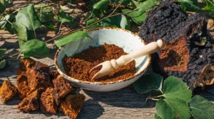 chaga mushroom moisturizer