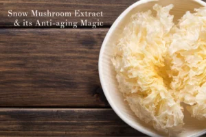 Snow Mushroom face cream